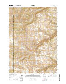 Turk Springs 2015 topographic map thumbnail