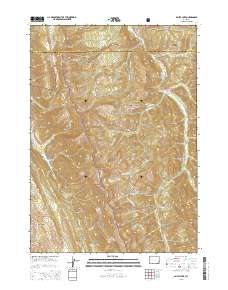Bailey Lake 2015 topographic map thumbnail