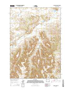 Wood Canyon 2015 topographic map thumbnail
