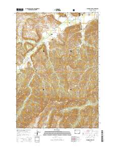 Elkhorn Peak 2015 topographic map thumbnail