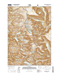 Downs Mountain 2015 topographic map thumbnail
