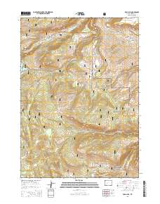 Fossil Hill 2015 topographic map thumbnail