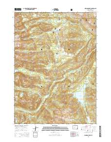 Dickinson Park 2015 topographic map thumbnail