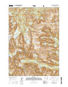 Lizard Head Peak 2015 topographic map thumbnail