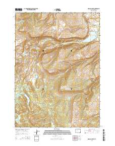 Moccasin Lake 2015 topographic map thumbnail