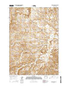 Wilson Spring 2015 topographic map preview