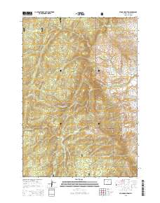 Stone Mountain 2015 topographic map thumbnail