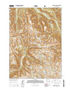 Squaretop Mountain 2015 topographic map thumbnail