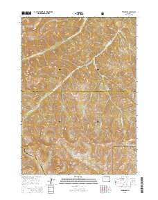 Twin Peaks 2015 topographic map thumbnail