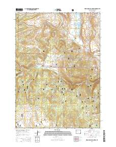 Warm Spring Mountain 2015 topographic map thumbnail