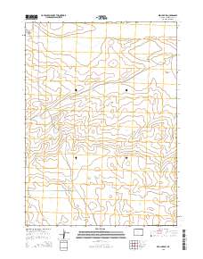 Red Lake SW 2015 topographic map thumbnail
