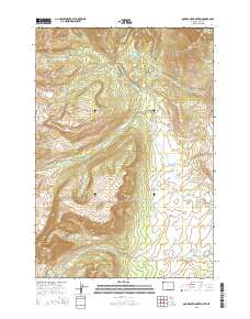 Quadrant Mountain 2015 topographic map thumbnail