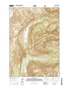 Joy Peak 2015 topographic map thumbnail