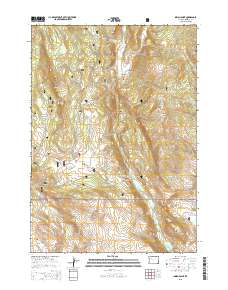 Indian Point 2015 topographic map thumbnail