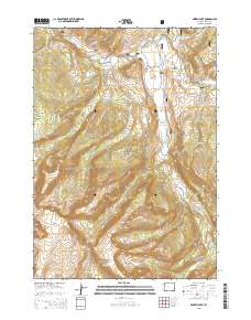 Grizzly Lake 2015 topographic map thumbnail