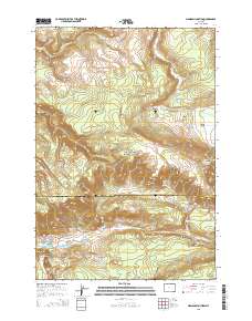 Madison Junction 2015 topographic map thumbnail