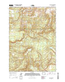 Beach Lake 2015 topographic map thumbnail