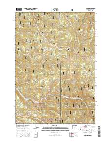 Buckhorn 2015 topographic map thumbnail