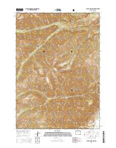 Clouds Home Peak 2015 topographic map thumbnail
