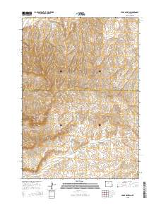 Cedar Mountain 2015 topographic map thumbnail