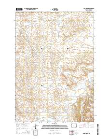 Cedar Ridge 2015 topographic map thumbnail