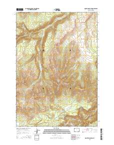 Mount Washburn 2015 topographic map thumbnail