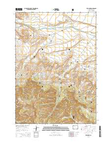 Pitchfork 2015 topographic map thumbnail