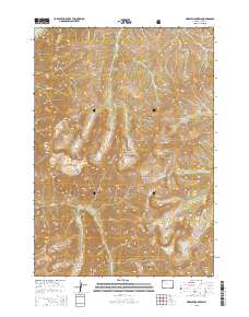 Needle Mountain 2015 topographic map thumbnail