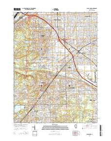 Palos Park 2015 topographic map thumbnail