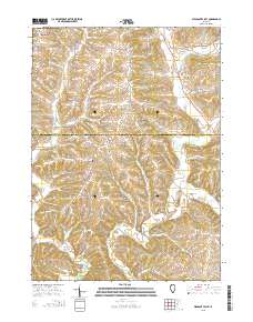 Pleasant Valley 2015 topographic map thumbnail