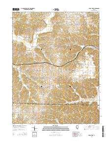 Pearl West 2015 topographic map thumbnail