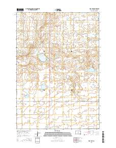 Rice Lake 2015 topographic map thumbnail