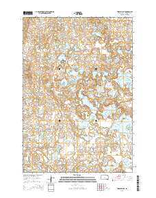 Twomile Lake 2015 topographic map thumbnail