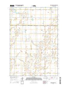 Wetonka South 2015 topographic map thumbnail