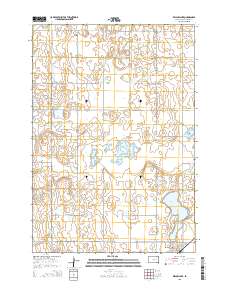 Willow Lake 2015 topographic map thumbnail