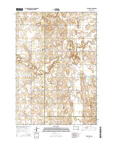 Tulare NW 2015 topographic map thumbnail