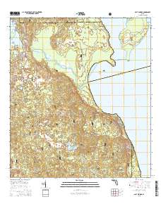 Salt Springs 2015 topographic map thumbnail