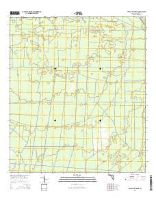 Tates Hell Swamp 2015 topographic map thumbnail