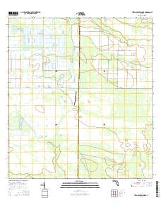 Telegraph Swamp NE 2015 topographic map thumbnail