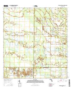 Telegraph Swamp SE 2015 topographic map thumbnail