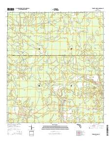 Tenmile Swamp 2015 topographic map thumbnail