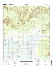 Waccasassa Bay 2015 topographic map thumbnail