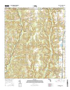 Walnut Hill 2015 topographic map thumbnail