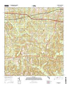 Waukeenah 2015 topographic map thumbnail