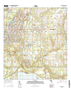 Wimauma 2015 topographic map thumbnail