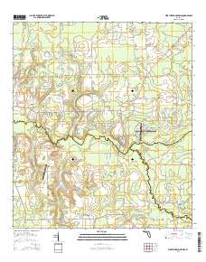 Worthington Springs 2015 topographic map thumbnail