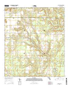 Altha East 2015 topographic map thumbnail