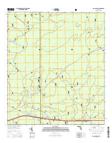 Big Gum Swamp 2015 topographic map thumbnail