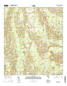 Chiefland SW 2015 topographic map thumbnail