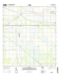 Brighton 2015 topographic map thumbnail